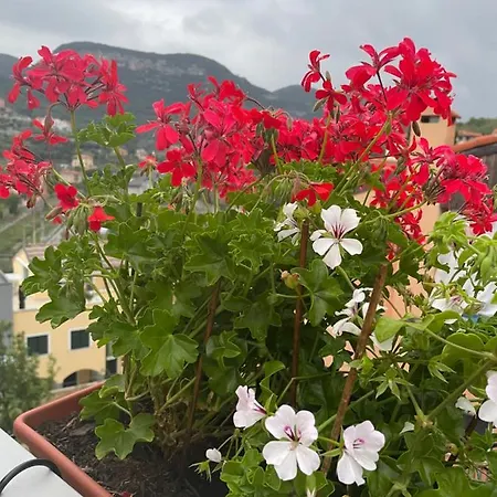 Couette-café La Dormeria Finale Ligure