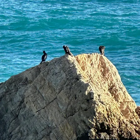 La Dormeria Bed & Breakfast Finale Ligure