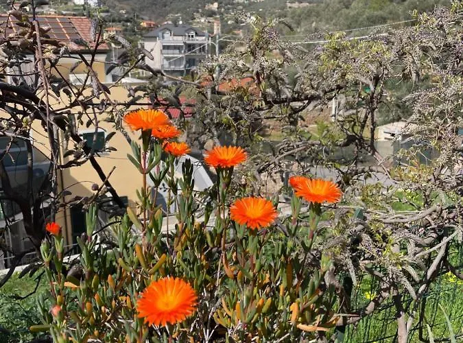Bed and breakfast La Dormeria Finale Ligure