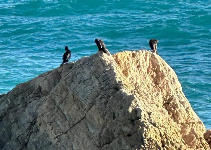 La Dormeria Отель типа 